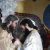 Ordinations